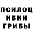 Галлюциногенные грибы MAGIC MUSHROOMS Endlessly Endlessly