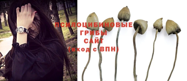 дурь Аркадак