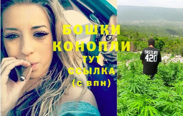 дурь Аркадак